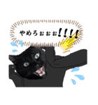シュールな黒ネッコさん⑤（個別スタンプ：23）