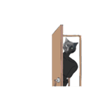 シュールな黒ネッコさん⑤（個別スタンプ：29）