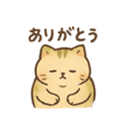 ほっこりねこの毎日・・・（個別スタンプ：1）