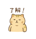 ほっこりねこの毎日・・・（個別スタンプ：5）