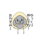 トイプードル グレー（長文の日常会話）（個別スタンプ：2）
