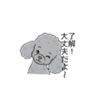 トイプードル グレー（長文の日常会話）（個別スタンプ：3）
