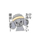 トイプードル グレー（長文の日常会話）（個別スタンプ：6）