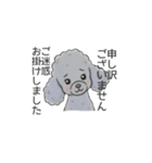 トイプードル グレー（長文の日常会話）（個別スタンプ：9）