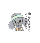 トイプードル グレー（長文の日常会話）（個別スタンプ：13）