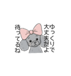 トイプードル グレー（長文の日常会話）（個別スタンプ：14）