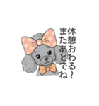 トイプードル グレー（長文の日常会話）（個別スタンプ：20）