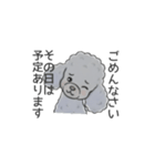 トイプードル グレー（長文の日常会話）（個別スタンプ：22）