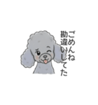 トイプードル グレー（長文の日常会話）（個別スタンプ：24）