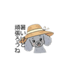 トイプードル グレー（長文の日常会話）（個別スタンプ：31）