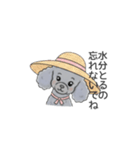 トイプードル グレー（長文の日常会話）（個別スタンプ：33）