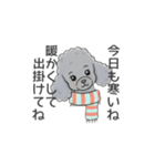 トイプードル グレー（長文の日常会話）（個別スタンプ：34）