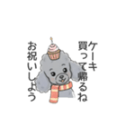 トイプードル グレー（長文の日常会話）（個別スタンプ：36）