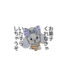 トイプードル グレー（長文の日常会話）（個別スタンプ：38）