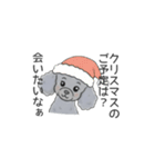 トイプードル グレー（長文の日常会話）（個別スタンプ：39）