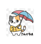 まるまるんちの猫ちゃんず1（個別スタンプ：7）