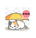 まるまるんちの猫ちゃんず1（個別スタンプ：8）