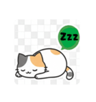 まるまるんちの猫ちゃんず1（個別スタンプ：19）