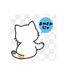 まるまるんちの猫ちゃんず1（個別スタンプ：37）