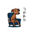 たまに二足歩行になるイタグレ(茶)（個別スタンプ：12）