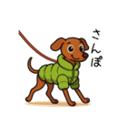 たまに二足歩行になるイタグレ(茶)（個別スタンプ：38）