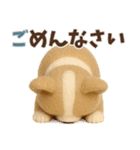 【秋冬】ふわもこコーギーの気持ち便（個別スタンプ：7）