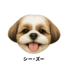 わんこ図鑑/犬/ドッグ/スタンプ（個別スタンプ：10）