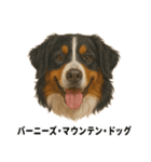 わんこ図鑑/犬/ドッグ/スタンプ（個別スタンプ：23）