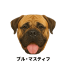 わんこ図鑑/犬/ドッグ/スタンプ（個別スタンプ：35）