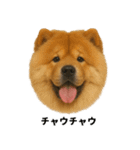 わんこ図鑑/犬/ドッグ/スタンプ（個別スタンプ：38）