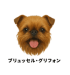 わんこ図鑑/犬/ドッグ/スタンプ（個別スタンプ：40）