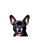 言葉なしリアクションで伝える フレブル 黒（個別スタンプ：4）