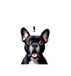 言葉なしリアクションで伝える フレブル 黒（個別スタンプ：6）