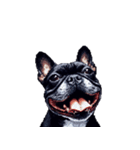 言葉なしリアクションで伝える フレブル 黒（個別スタンプ：10）