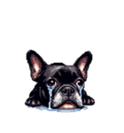 言葉なしリアクションで伝える フレブル 黒（個別スタンプ：12）