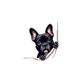 言葉なしリアクションで伝える フレブル 黒（個別スタンプ：13）