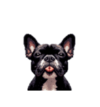 言葉なしリアクションで伝える フレブル 黒（個別スタンプ：17）