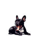 言葉なしリアクションで伝える フレブル 黒（個別スタンプ：18）