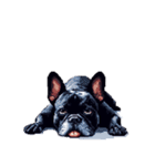 言葉なしリアクションで伝える フレブル 黒（個別スタンプ：19）