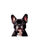 言葉なしリアクションで伝える フレブル 黒（個別スタンプ：20）