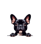 言葉なしリアクションで伝える フレブル 黒（個別スタンプ：22）