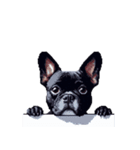 言葉なしリアクションで伝える フレブル 黒（個別スタンプ：24）