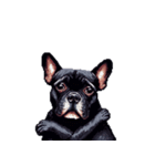 言葉なしリアクションで伝える フレブル 黒（個別スタンプ：27）