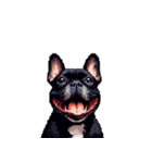 言葉なしリアクションで伝える フレブル 黒（個別スタンプ：28）