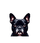 言葉なしリアクションで伝える フレブル 黒（個別スタンプ：29）