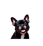 言葉なしリアクションで伝える フレブル 黒（個別スタンプ：30）