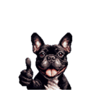 言葉なしリアクションで伝える フレブル 黒（個別スタンプ：31）