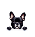 言葉なしリアクションで伝える フレブル 黒（個別スタンプ：34）