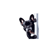 言葉なしリアクションで伝える フレブル 黒（個別スタンプ：38）