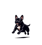 言葉なしリアクションで伝える フレブル 黒（個別スタンプ：39）